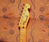 Bill laurence telecaster 3.jpg